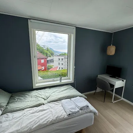 Daire Panoramic Views And Garden! Bergen